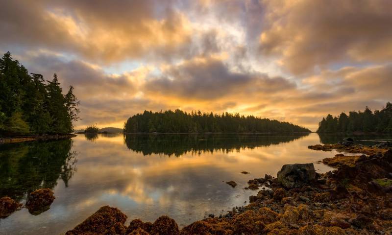 破碎群岛，环太平洋国家公园保护区，不列颠哥伦比亚省温哥华岛，加拿大